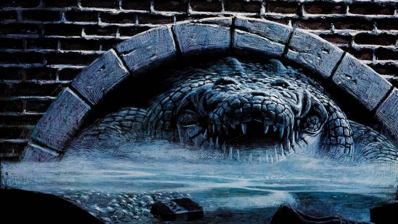 Alligator