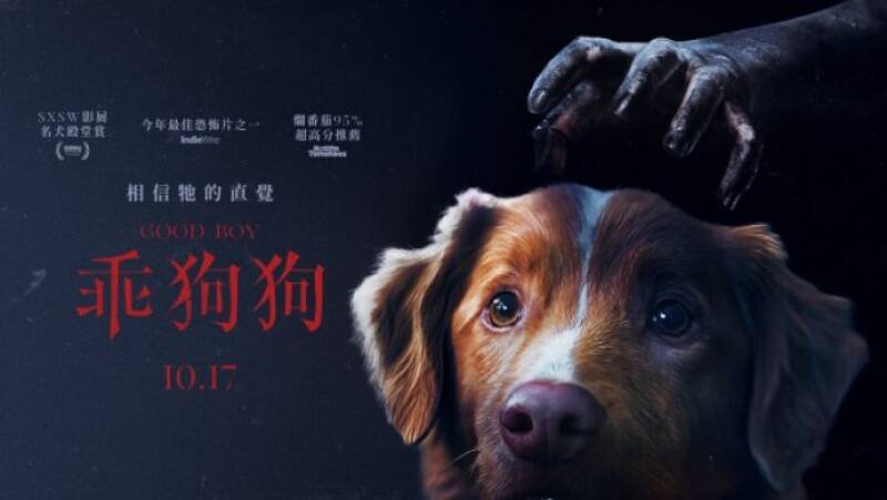 Good Boy