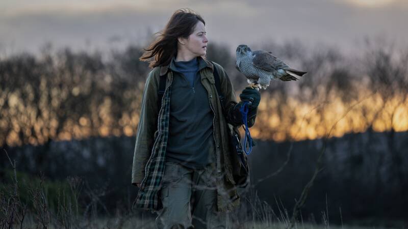 H Is for Hawk