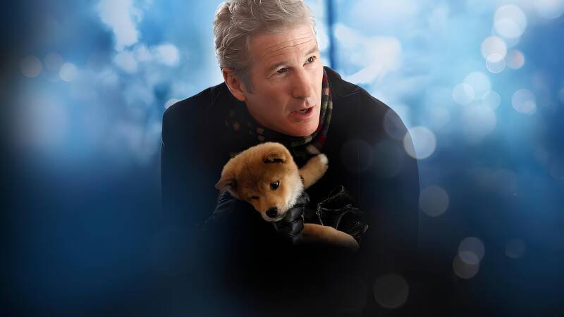 Hachi: A Dog's Tale