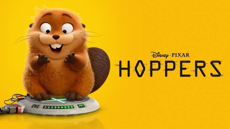 Hoppers