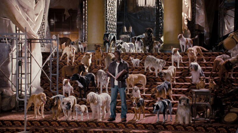 Hotel for Dogs