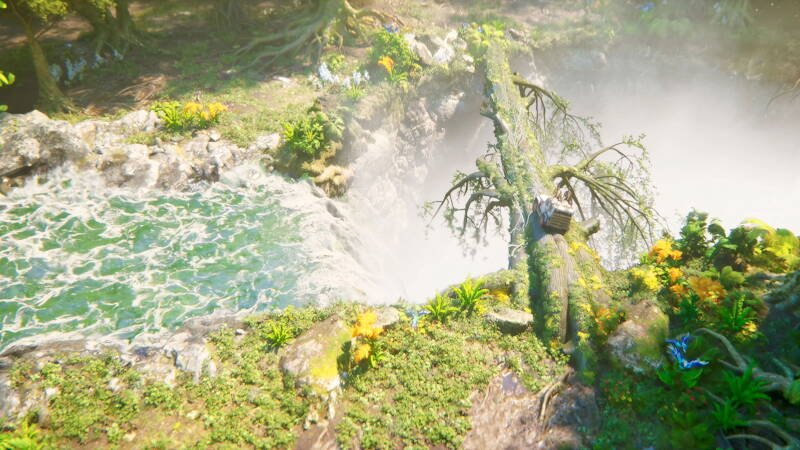 Jungle Race