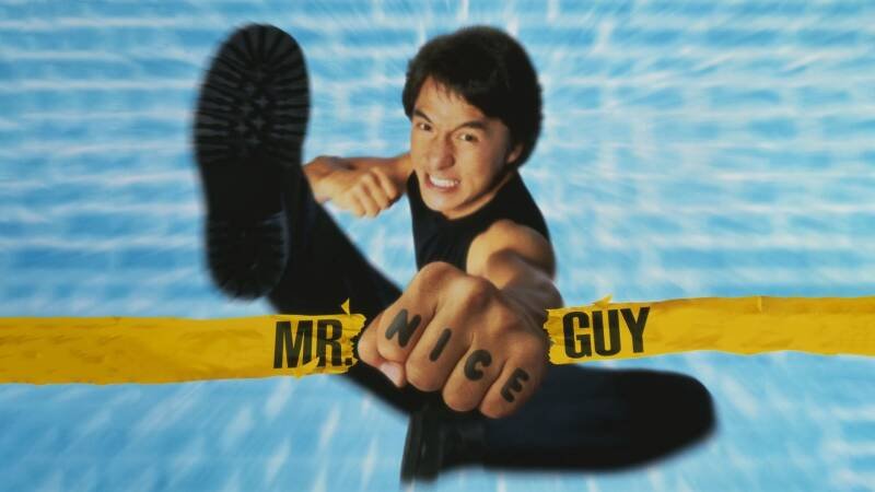 Mr. Nice Guy