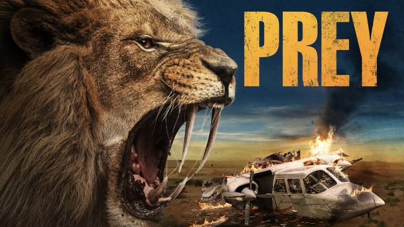 Prey 2024