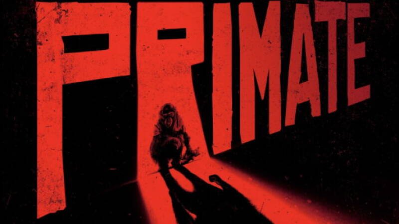 Primate