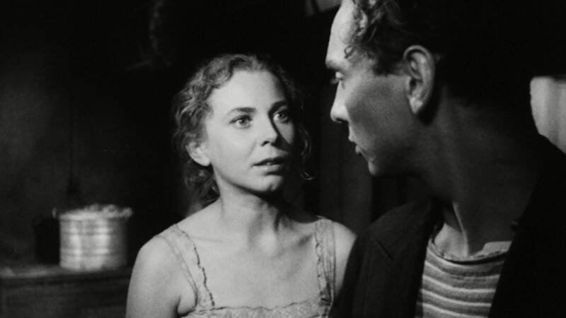 Shadow 1956