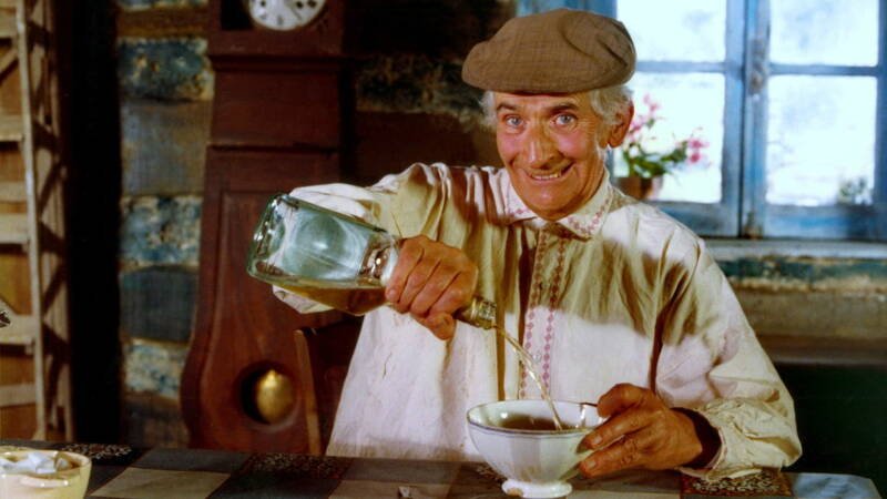 The Cabbage Soup