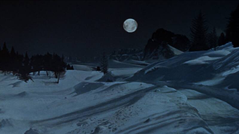The Fearless Vampire Killers