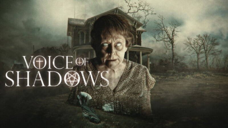 Voice of Shadows